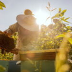 beekeeper equipment